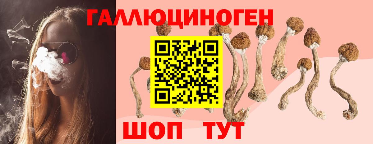 Лыткарино  Галлюциногенные грибы ЛСД  Галлюциногенные грибы мицелий  Вход с VPN 